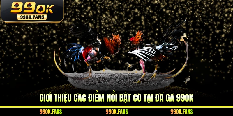 Giới thiệu các điểm nổi bật có tại đá gà 99OK